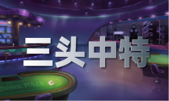 港澳宝典精准免费材料