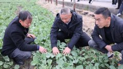当涂：农技培训深切田间 抢抓农时帮力春耕