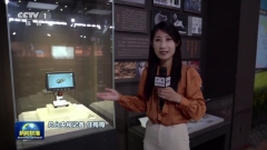 央视《》聚焦浙江上山遗址 发觉万年前稻做农业